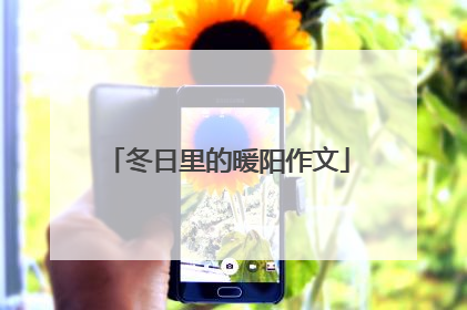 冬日里的暖阳作文