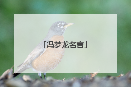 冯梦龙名言