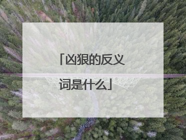 凶狠的反义词是什么