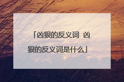 凶狠的反义词 凶狠的反义词是什么
