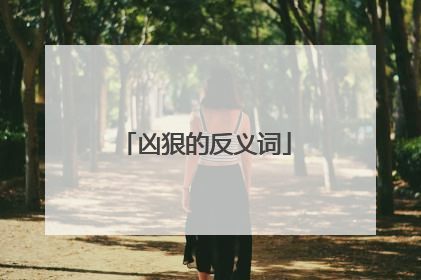 凶狠的反义词