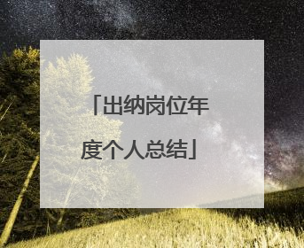出纳岗位年度个人总结