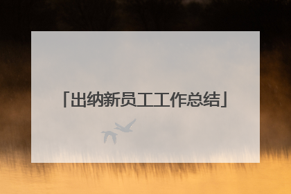 出纳新员工工作总结