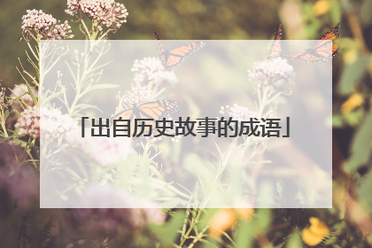 出自历史故事的成语