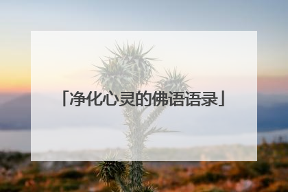 净化心灵的佛语语录