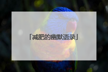 减肥的幽默语录