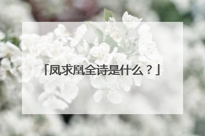 凤求凰全诗是什么?