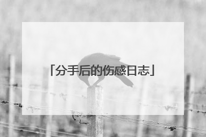 分手后的伤感日志
