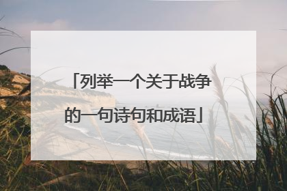 列举一个关于战争的一句诗句和成语