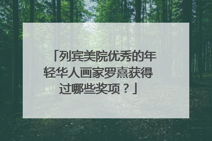 列宾美院优秀的年轻华人画家罗熹获得过哪些奖项？