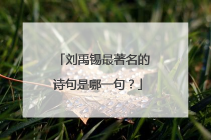 刘禹锡最著名的诗句是哪一句？