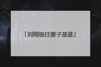 刘翔现任妻子是谁