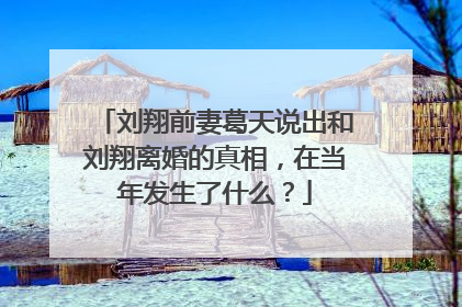 刘翔前妻葛天说出和刘翔离婚的真相，在当年发生了什么？