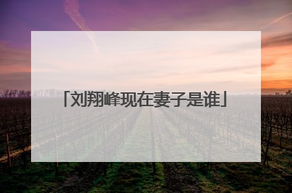 刘翔峰现在妻子是谁