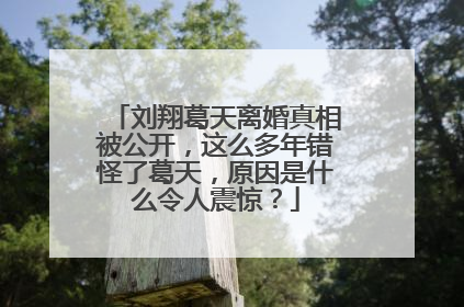 刘翔葛天离婚真相被公开，这么多年错怪了葛天，原因是什么令人震惊？