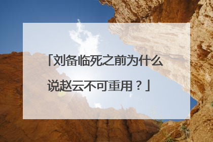 刘备临死之前为什么说赵云不可重用?