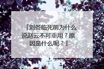刘备临死前为什么说赵云不可重用?原因是什么呢?