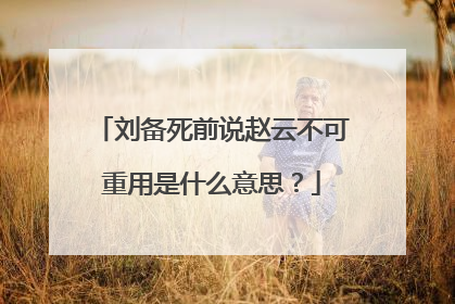 刘备死前说赵云不可重用是什么意思?