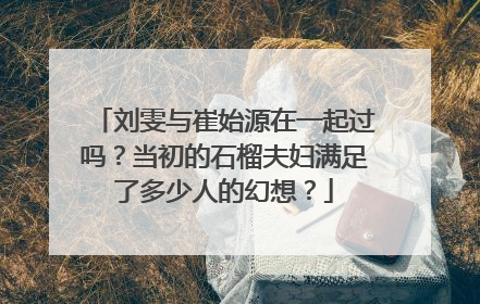 刘雯与崔始源在一起过吗？当初的石榴夫妇满足了多少人的幻想？