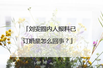 刘雯圈内人报料已订婚是怎么回事？