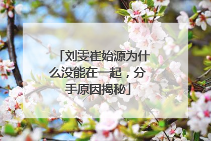 刘雯崔始源为什么没能在一起,分手原因揭秘