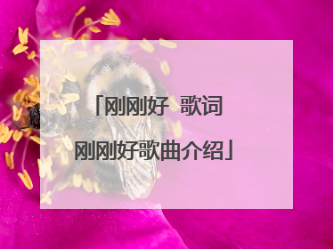 刚刚好 歌词 刚刚好歌曲介绍