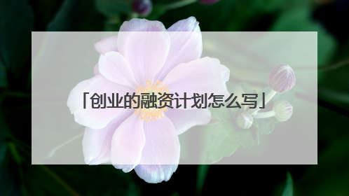 创业的融资计划怎么写