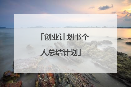 创业计划书个人总结计划