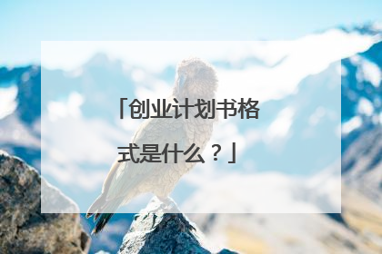 创业计划书格式是什么？