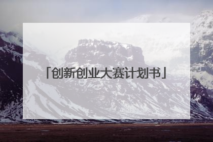 创新创业大赛计划书