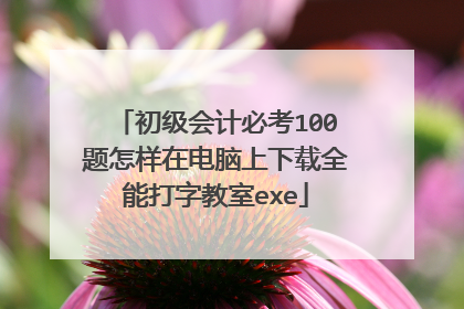 初级会计必考100题怎样在电脑上下载全能打字教室exe