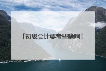 初级会计要考些啥啊