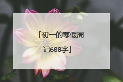 初一的寒假周记600字