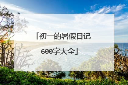 初一的暑假日记600字大全
