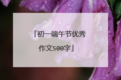 初一端午节优秀作文500字