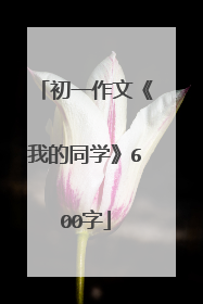 初一作文《我的同学》600字