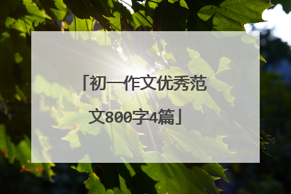 初一作文优秀范文800字4篇