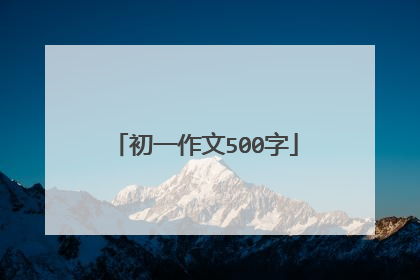 初一作文500字