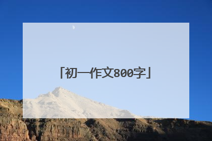 初一作文800字