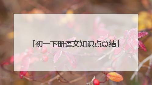 初一下册语文知识点总结