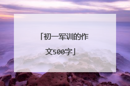 初一军训的作文500字