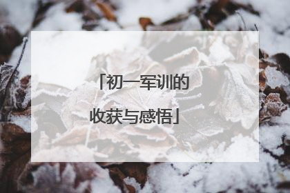 初一军训的收获与感悟