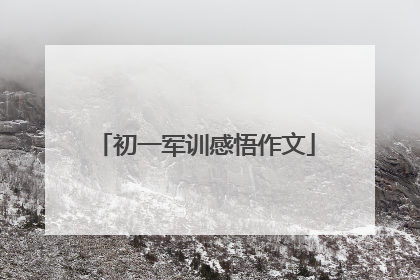 初一军训感悟作文