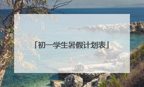 初一学生暑假计划表