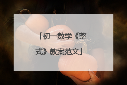 初一数学《整式》教案范文