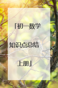 初一数学知识点总结上册