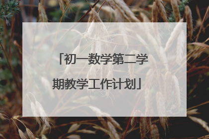 初一数学第二学期教学工作计划