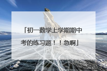 初一数学上学期期中考的练习题！！急啊