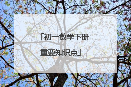 初一数学下册重要知识点