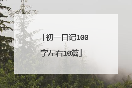 初一日记100字左右10篇